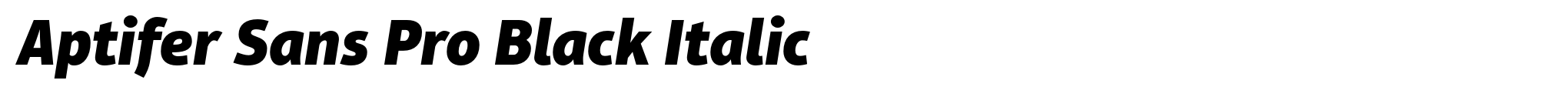Aptifer Sans Pro Black Italic image